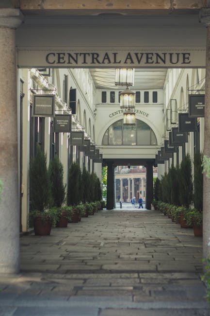 A covered walkway or arcade with a high, decorative ceiling and hanging light fixtures, leading towards a wider outdoor area visible in the background. The entrance is framed by two stone or concrete columns, and above it is a sign reading 'CENTRAL AVENUE'. On both sides of the corridor, there are small potted plants placed on the ground, and black signage with white text indicating various shops or services. The flooring consists of stone or concrete tiles, and the area appears to be well-lit by natural daylight. This setting reflects a commercial or shopping street, suitable for house removals and packing and moving services in Covent Garden, such as those provided by Man with Van Covent Garden, accommodating the logistics of furniture transport and home relocation.
